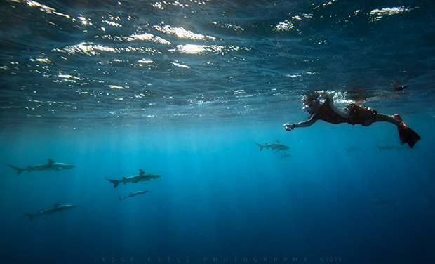 Tahiti & The French Polynesia, Underwater Photography